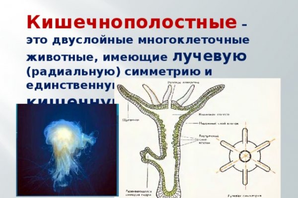 Кракен что там продают