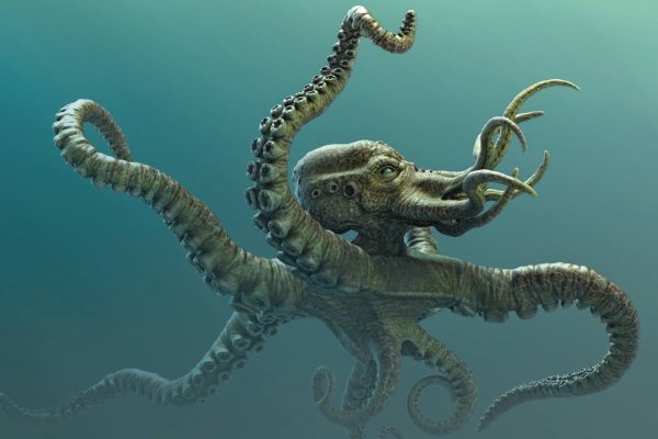 Kraken18.at